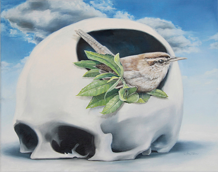 Nest by Clare Toms | Lethbridge Gallery